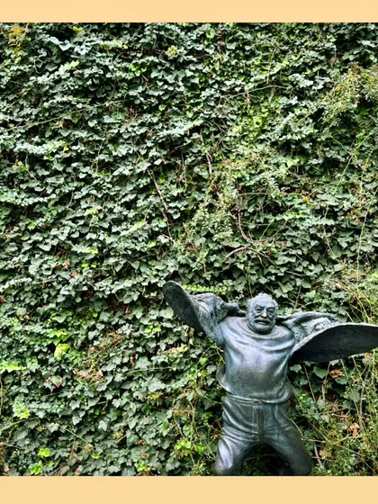 A dense green wall of Climbing Fig covering a building facade. This is a perfect example of how climbing plants can be used to create a natural, self-sustaining green architecture with minimal intervention.