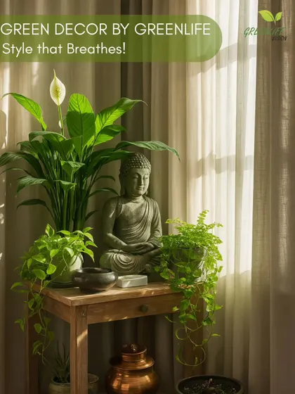We created this tranquil meditation corner using a combination of a Peace Lily, trailing Pothos, and a Boston Fern surrounding a Buddha statue. It's a perfect example of how plants can enhance a space for mindfulness.