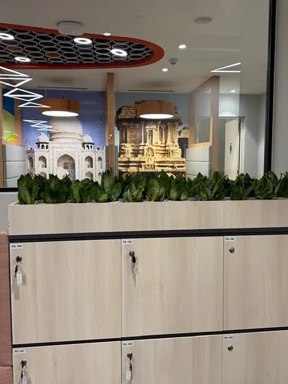 A close-up of the integrated planters at the Prudential office. The use of Snake Plants is a deliberate choice for their low maintenance and high performance in air purification, demonstrating our data-driven approach.