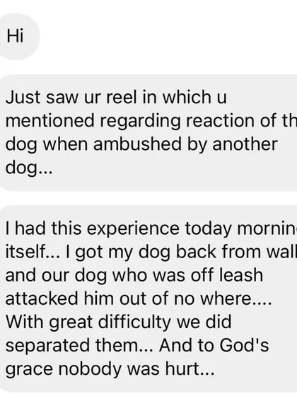 A screenshot from a client who experienced an off-leash dog attack just after watching one of my reels on the topic. It's happening everywhere.