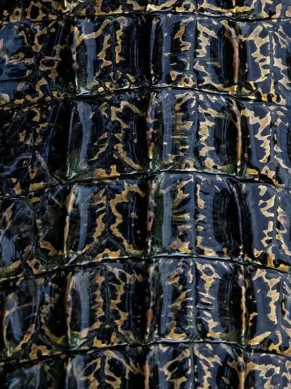 The color version of the crocodile scale photo. Here you can see the golden-brown pattern on the dark, wet scales, which look like a piece of ancient, living armor.