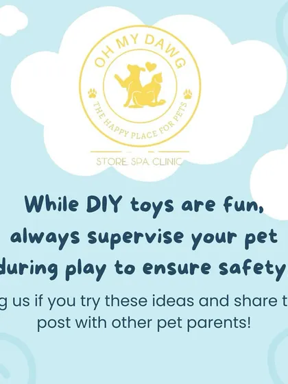 While DIY toys are fantastic, it's important to always supervise your pet during playtime to ensure their safety. Have fun creating these together.