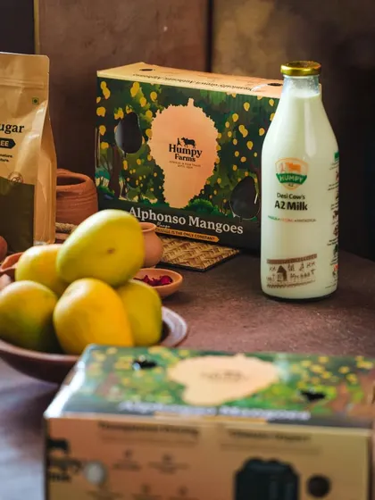 A product shot of Alphonso mangoes next to a bottle of fresh milk, showcasing the key ingredients for a recipe.