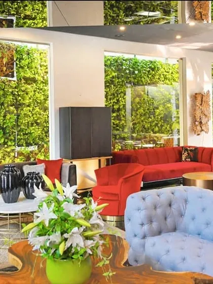 For the Cane Boutique furniture showroom, we retrofitted a series of vertical gardens to their glass-walled exterior. This not only created a lush, luxurious backdrop for their high-end furniture but also provided natural privacy from the outside.
