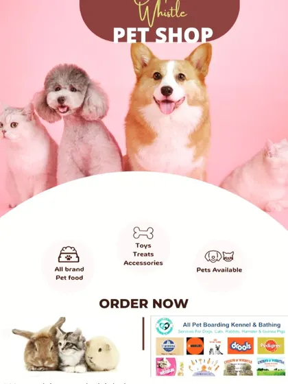 From all-brand pet food to toys, treats, and accessories, our Gurugram pet shop has everything you need. We also have a variety of pets available for you to meet.