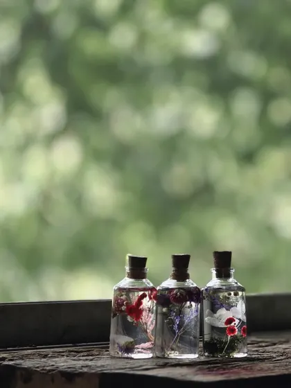 Herbarium jars silhouetted against a window, capturing the beauty of preserved nature.