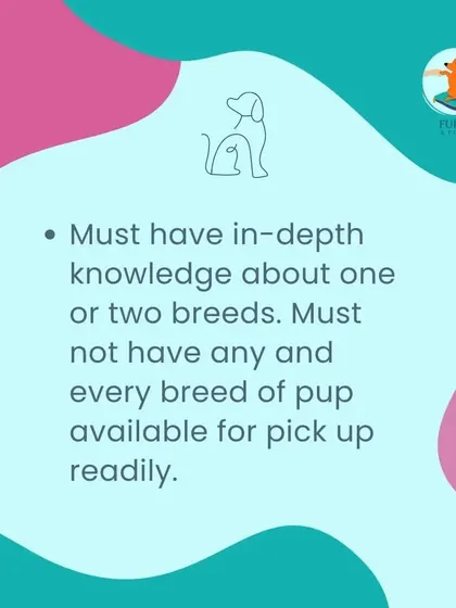 A responsible breeder will have in-depth knowledge of one or two specific breeds. They will not have many different breeds of puppies available at all times. This specialization ensures they understand the health and temperament of their dogs.