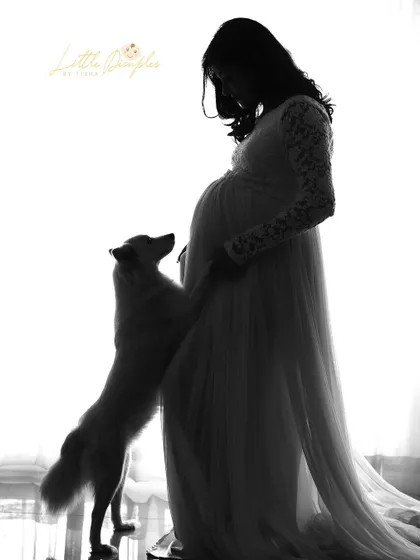 A furry friend eagerly awaiting the new arrival. This silhouette of the family dog looking up at the baby bump is incredibly sweet and touching.