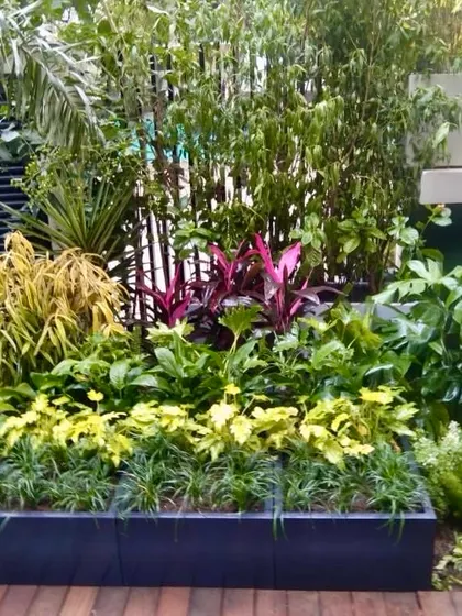 Nature is so kind to us. Why use fake plants when real ones are so stunning? This planter shows a beautiful, dense combination of real plants with vibrant colors and textures.