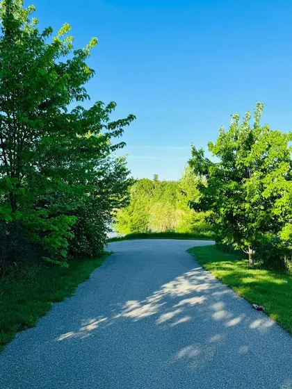 A beautiful, sunny path surrounded by vibrant green trees. A reminder that today is going to be limitless, just like the power that Mother Nature carries.