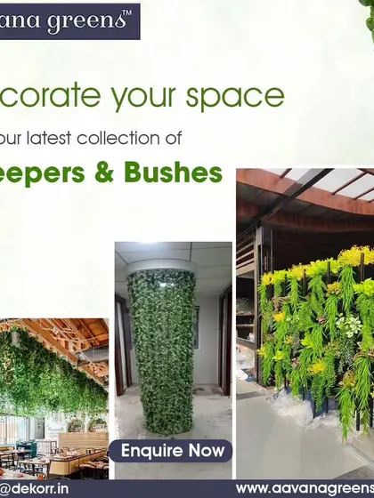 Decorate your space with our latest collection of creepers and bushes. We can create hanging ceiling gardens, cover pillars, or design unique wall hangings to suit your vision.