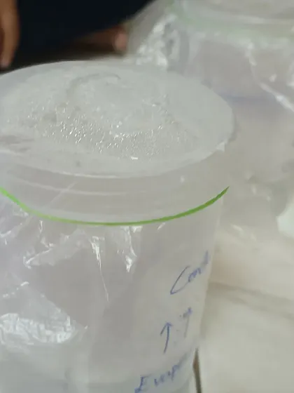A close-up of the condensation, the "clouds" forming in our jar. This simple experiment beautifully demonstrates a key part of how Earth has been recycling water for billions of years.