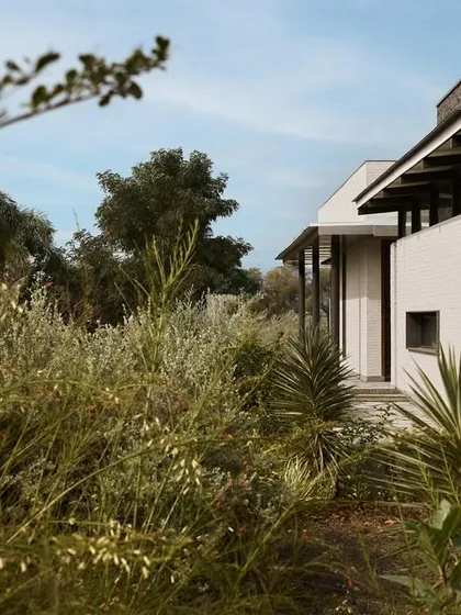 A view of Pavilion House through the surrounding landscape, highlighting our philosophy of designing with sensitivity to the site.