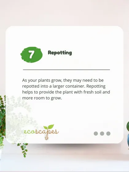 Indoor Tip 7: Repotting. As your plants grow, they will need to be repotted into a larger container with fresh soil. This gives their roots more room to expand and access new nutrients.