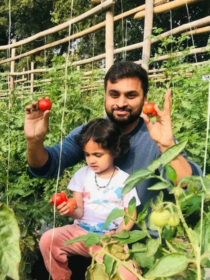 A father and daughter moment in the tomato patch. He shows her the ripe red tomatoes, a simple and sweet memory made on the farm.