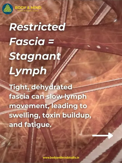 Restricted fascia leads to stagnant lymph. When fascia is tight and dehydrated, it can slow lymph movement, leading to swelling, toxin buildup, and fatigue. Myofascial release techniques can help.