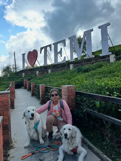 A series of photos from the beautiful Temi Tea Garden in Sikkim. Traveling with dogs often means you get to explore stunning, off-the-beaten-path locations.