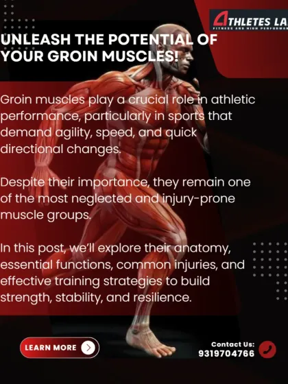 Unleash the potential of your groin muscles. This post explores the anatomy, functions, and common injuries of the adductors, providing effective training strategies to build strength, stability, and resilience in this vital area.