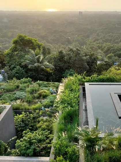 At Villa Toshi, we worked to dissolve the boundaries between the building and its surroundings. The result is a landscape that consumes the architecture, with lush rooftop gardens and water bodies that create a private, verdant oasis overlooking the Alibaug canopy.