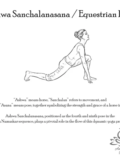 Ashwa Sanchalanasana (Equestrian Pose) strengthens the quadriceps and glutes, stretches the hip flexors, and improves balance and core awareness.