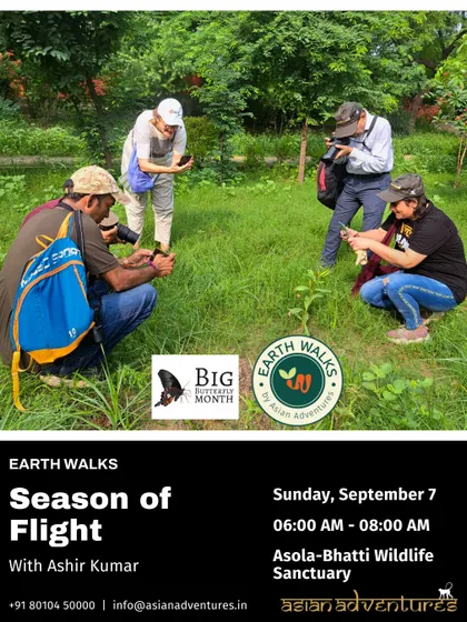 A group of participants, fully absorbed in observing and photographing nature during our "Season of Flight" walk. We encourage a hands-on, immersive approach to learning.