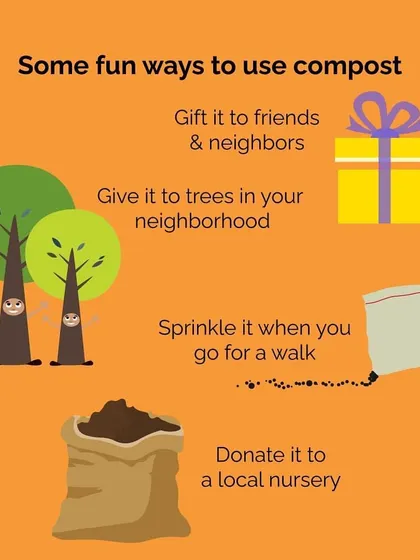 Here are some fun and useful ways to use your extra compost. You can gift it to friends, donate it to a local nursery, or simply sprinkle it around trees when you go for a walk.