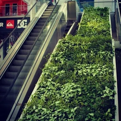 We bring greenery to high-traffic public spaces, like this vertical garden installed alongside an escalator at High Street Phoenix in Mumbai. It introduces a surprising and refreshing touch of nature into the urban shopping experience.