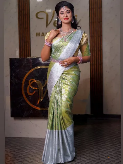 A light green and silver saree that creates a very fresh and modern look. The draping is soft and elegant, suitable for a daytime event or reception.