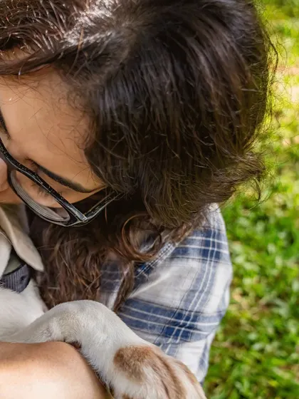 A close-up of a tender moment between Theo the Beagle and his owner. The love and affection are so clear in this simple gesture.