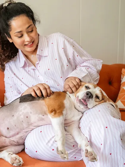 Rrari the Beagle, who is battling cancer, enjoying a quiet cuddle on the couch with her mom. These at-home sessions are perfect for capturing peaceful, intimate moments.
