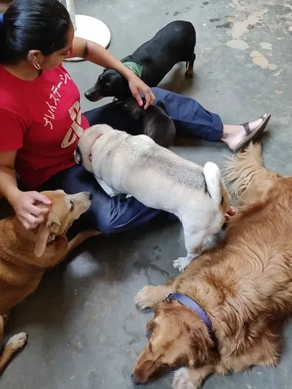 A moment of pure bliss, surrounded by a pile of happy, sleepy dogs. This is our happy place, providing comfort and love to our furry guests.