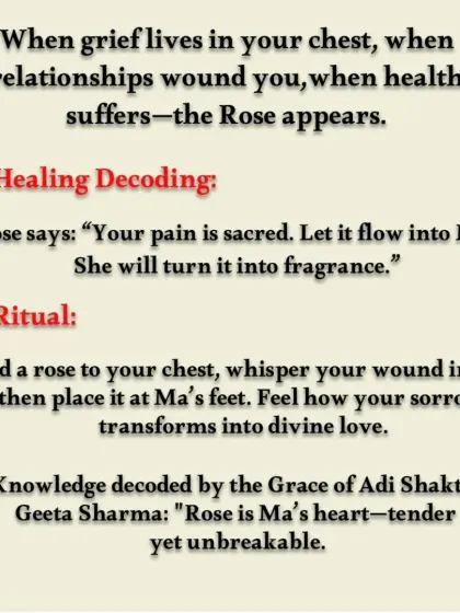 This graphic decodes the healing power of the rose. It explains a ritual of holding a rose to your chest to transform sorrow into divine love.