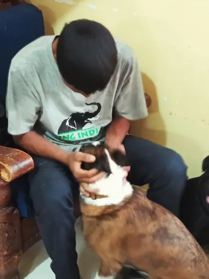 Even the little ones get their special time. This pug is getting all the focus.