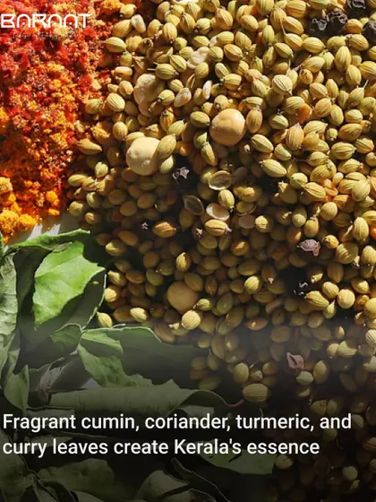 Fragrant cumin, coriander, turmeric, and curry leaves come together to create the essence of Kerala in my dishes.