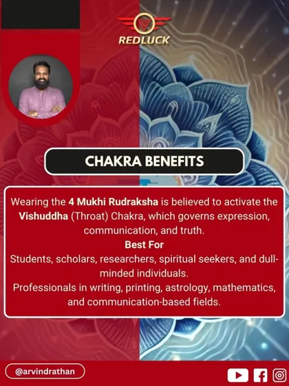 The 4 Mukhi Rudraksha activates the Vishuddha (Throat) Chakra, which governs expression, communication, and truth. It is best for students, researchers, and professionals in fields like writing, astrology, and mathematics.