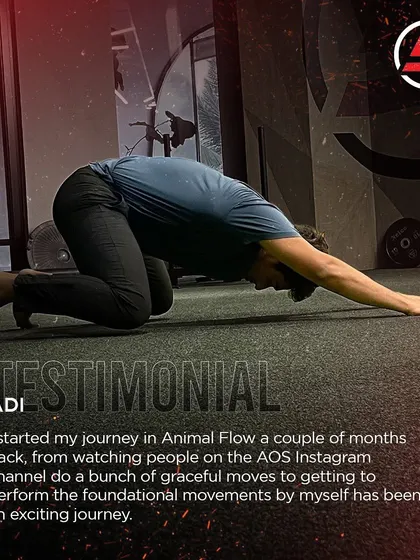 Adi's testimonial: From watching graceful moves on Instagram to performing the foundational movements himself, his Animal Flow journey has been an exciting one.