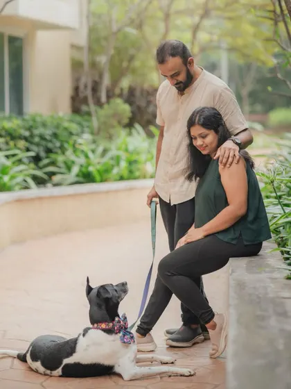 A quiet moment of connection between a couple and their dog. The way their pet looks up at them is a beautiful, unspoken declaration of love.