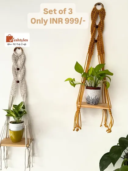 A set of three single-shelf plant hangers, available at a special discounted price. Perfect for creating a beautiful plant display on your wall.
