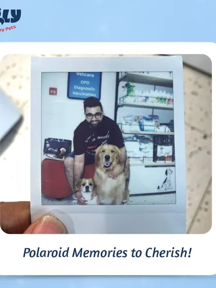 We're creating memories to cherish at our Grooming Fest. This post invites pet parents to join the fun, get a great discount, and capture their pet's fresh new look with a free polaroid photo.