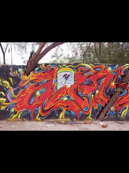 A panoramic shot of the graffiti piece integrated with the tree, showing the full composition.
