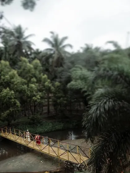 A wide shot of a couple walking across a bridge over a river, surrounded by lush greenery.