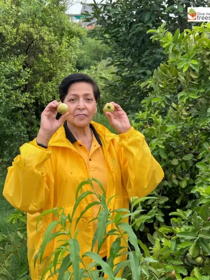 Volunteers from the Lions Club brought incredible energy to our Noida Sector 47 site, planting trees even in the rain and enjoying the fruits of a nearby guava tree. This shows the joy and dedication of our community partners.