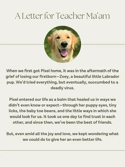 A beautiful letter from Pixel's family, sharing how she healed their hearts after the loss of a previous pet.