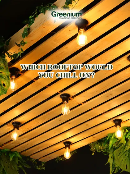 Which rooftop would you chill on? This image shows a close-up of a wooden slat ceiling with vintage-style Edison bulbs, creating a warm and inviting ambiance.