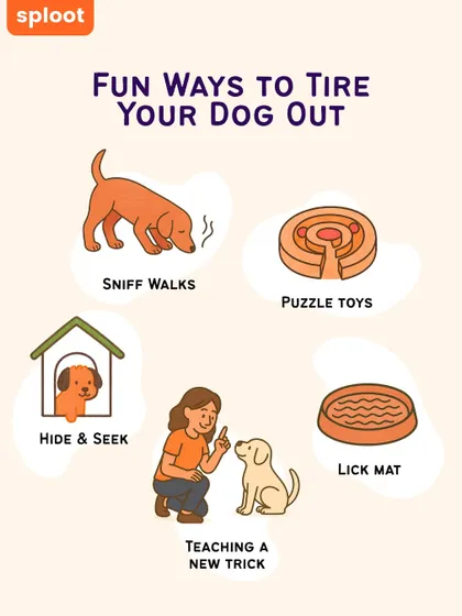 A tired dog is a happy dog. This infographic shows five fun and easy ways to tire your dog out mentally and physically, including sniff walks, puzzle toys, and teaching a new trick.