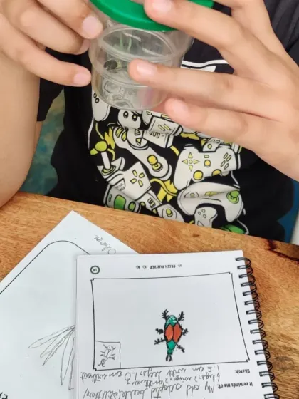 A child journals and sketches a beetle he has safely captured in a bug viewer. This activity combines scientific observation with artistic expression.