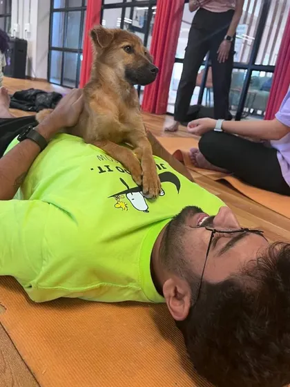 A moment of pure relaxation for both human and pup. This is what puppy yoga is all about: connection, calm, and cuddles.
