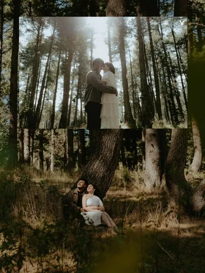 A collage of three images from a pre-wedding shoot in the Kashmir mountains, featuring a breathtaking drone shot and intimate moments under tall pine trees.