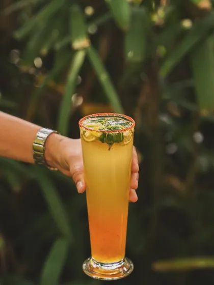 A hand holding a tall, layered summer mocktail. The outdoor setting and the action of holding the drink make it feel personal and refreshing, like a perfect summer day.