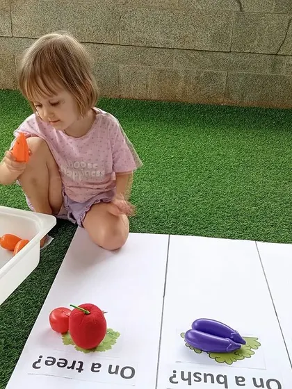 A child sorts plastic vegetables, learning to categorize them based on where they grow: on a tree, on a bush, or in the soil.